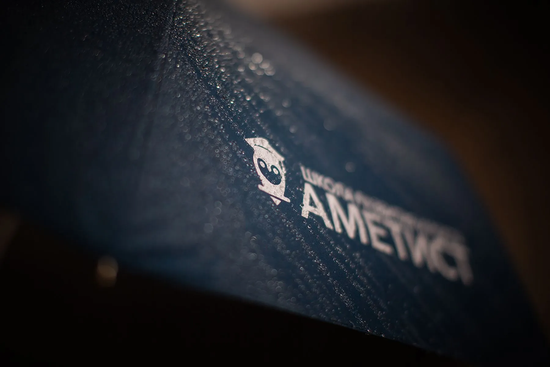 Сувениры для Аметист