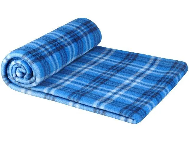 Клетчатый плед Scot, ярко-синий с логотипом компании. Цена . Артикул AROA11295401