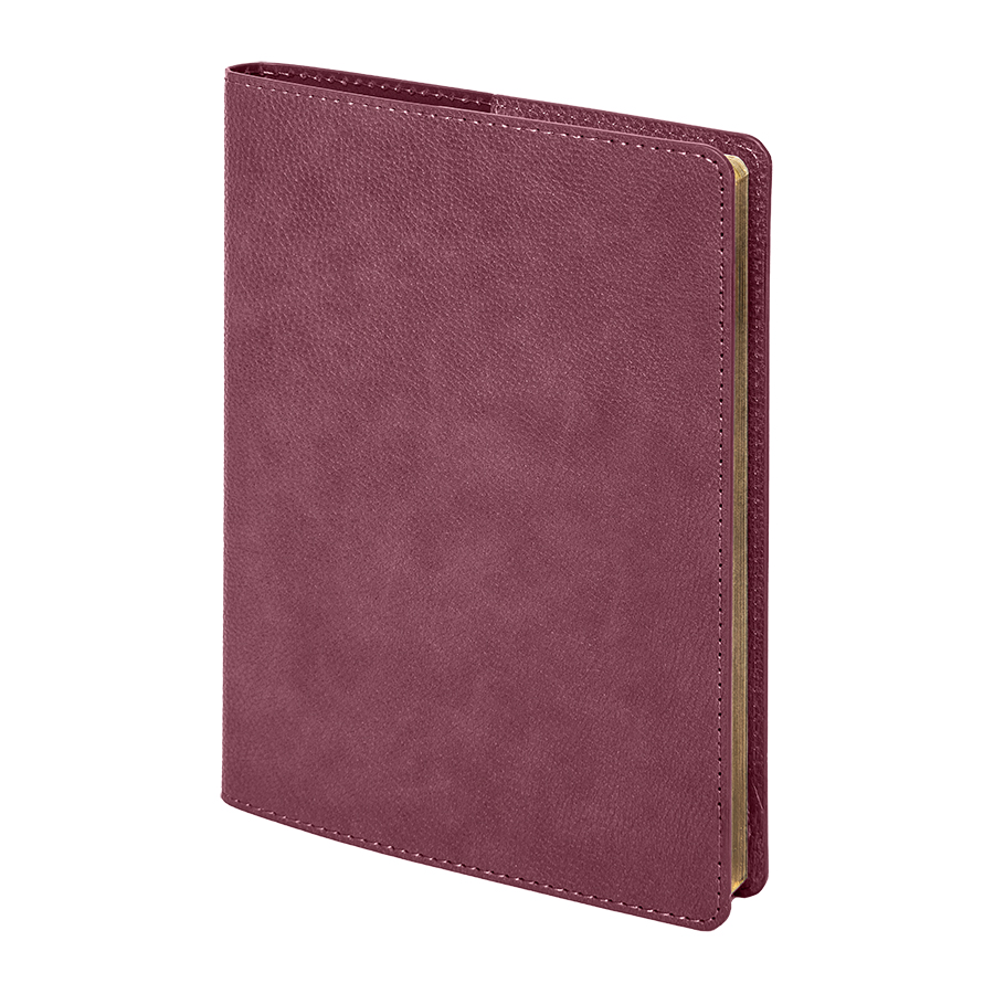 Ежедневник недатированный портфолио Mark,формат А5, в линейку для бизнеса