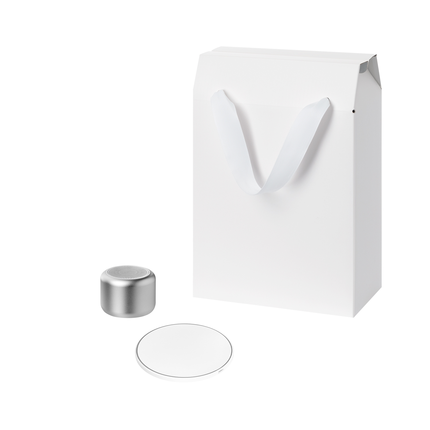 Подарочный набор Пэшн, Аурис (Passion, Auris), серебряный (колонка, зарядное устройство) для бизнеса