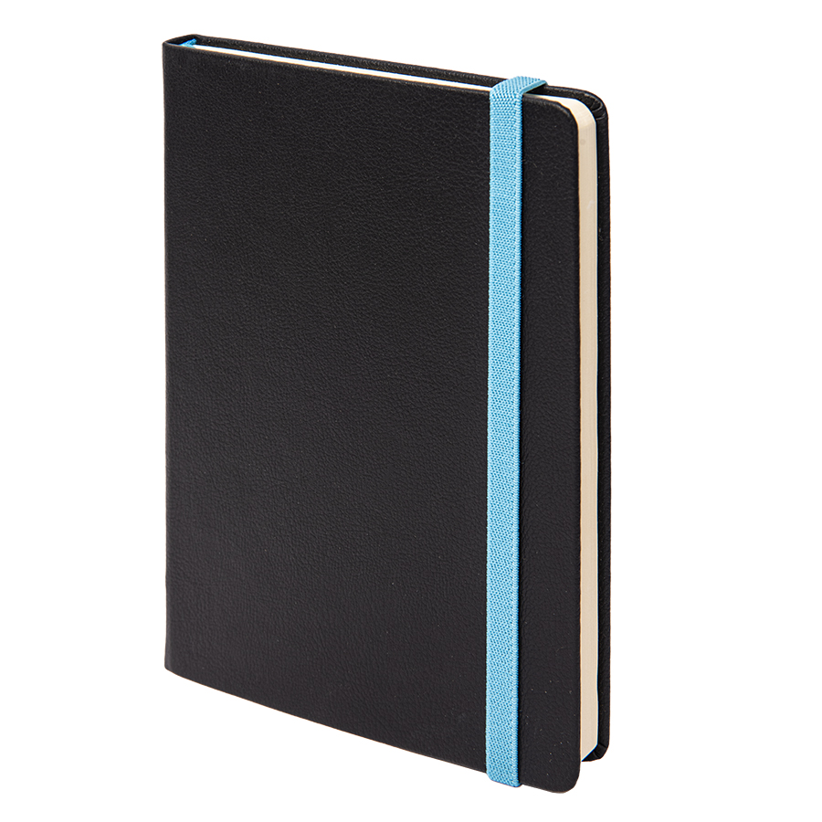 Ежедневник недатированный Ray, формат А5, в клетку для бизнеса