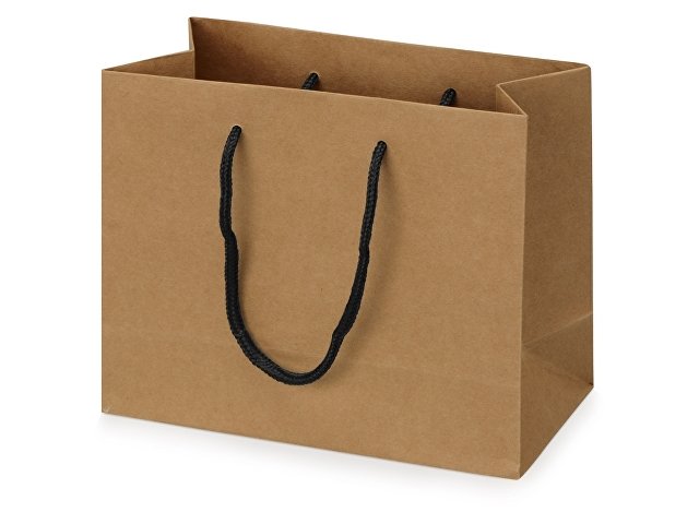 Пакет подарочный Kraft XS, 23x19x10 см для бизнеса