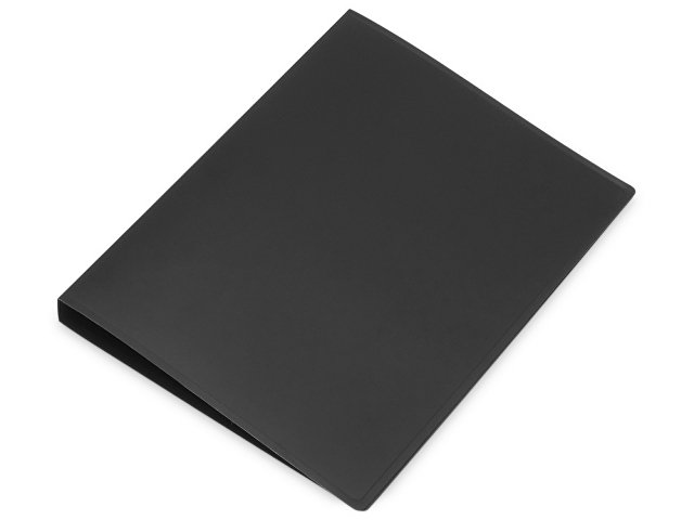 Папка на 2-х кольцах для бизнеса