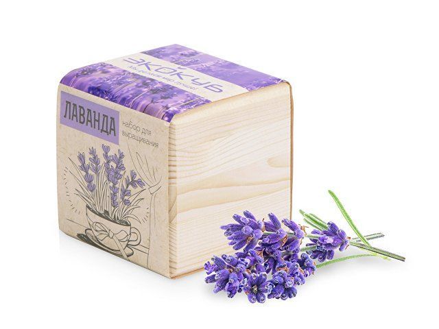 Набор для выращивания "Экокуб Classic "Лаванда"