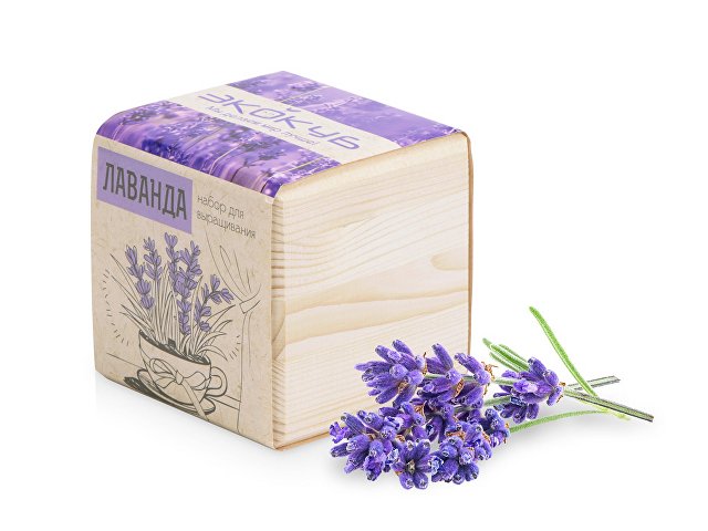 Набор для выращивания "Экокуб Classic "Лаванда" для бизнеса