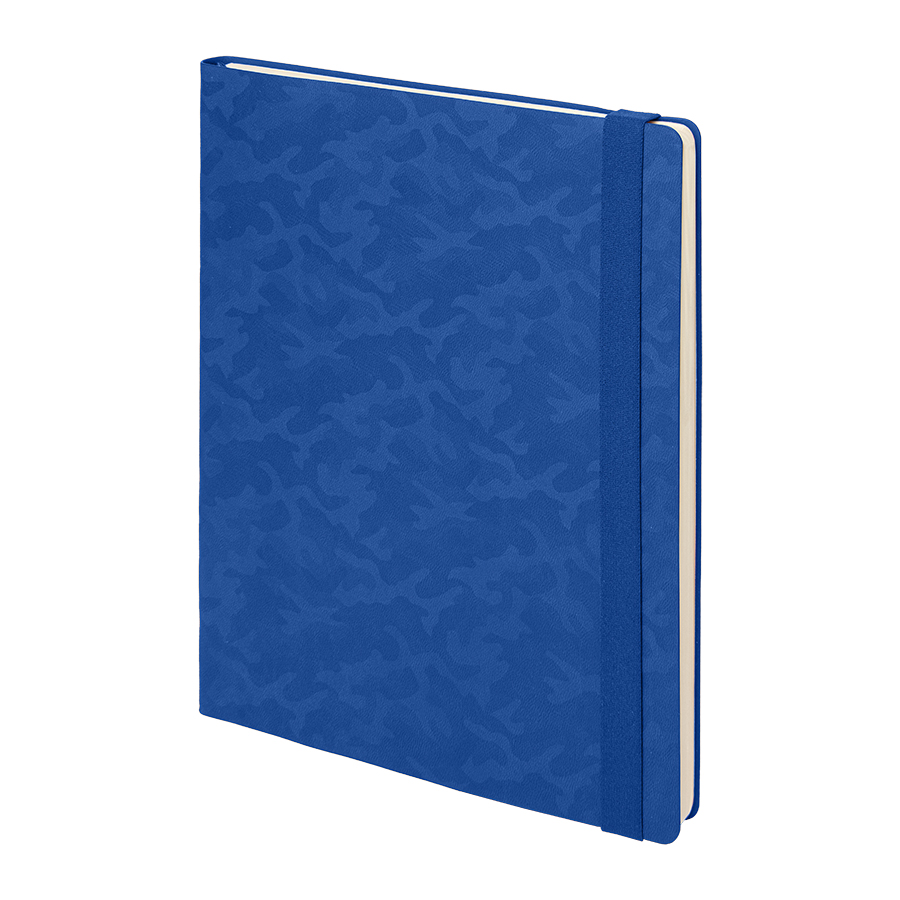 Бизнес-блокнот TABBY BIGGY, формат В5, в клетку для бизнеса