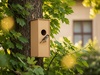 Скворечник DIY для бизнеса