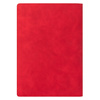 Ежедневник Portfolio Caprice A5+