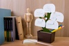 Органайзер настольный Bonsai  для бизнеса