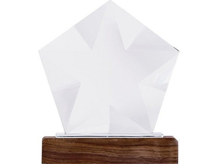 Награда "Interstellar", прозрачный с логотипом компании. Цена 4 716 ₽. Артикул AROA137315